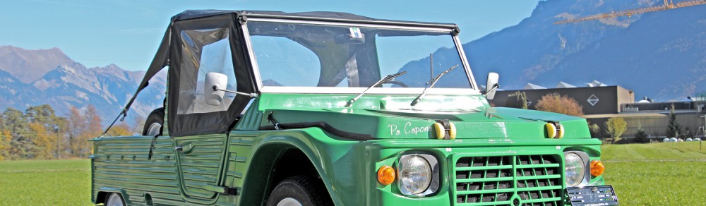 Klassische, Kultige, Hippie, Youngtimer, Oldtimer, Veteranen Automobile wie VW Bus T1, T2, T3 Panel Van, Split Windows, VW Camper Westfalia, Citroen 2CV, Mehari, Alfaromeo bei Kult-Automobile in Interlaken