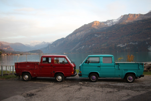 Zwei DOKA's die sich mögen, warten auf Nachwuchs